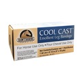 Hawthorne Products Cool Cast Bandage 3" x 10 yds. 899-3